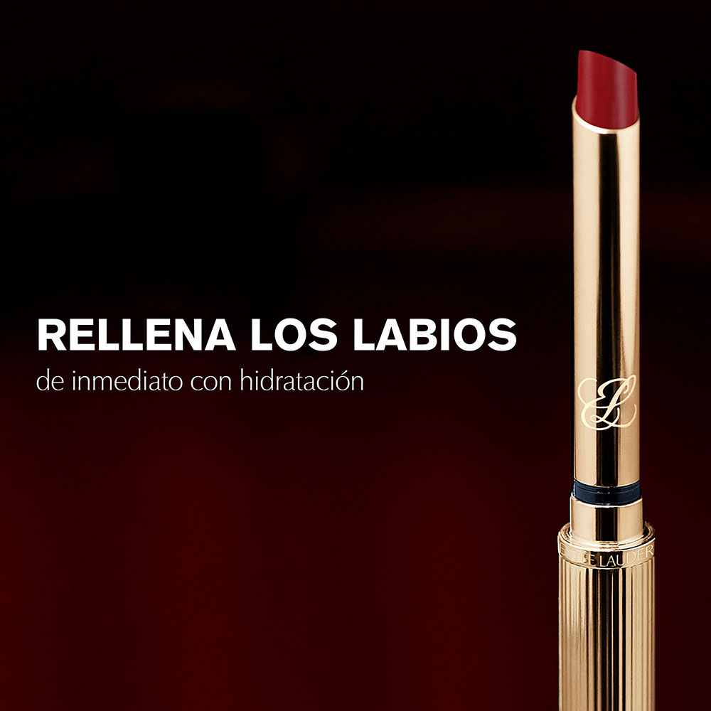 PURE COLOR EXPLICIT SLICK SHINE LIPSTICK (LABIAL EN BARRA)